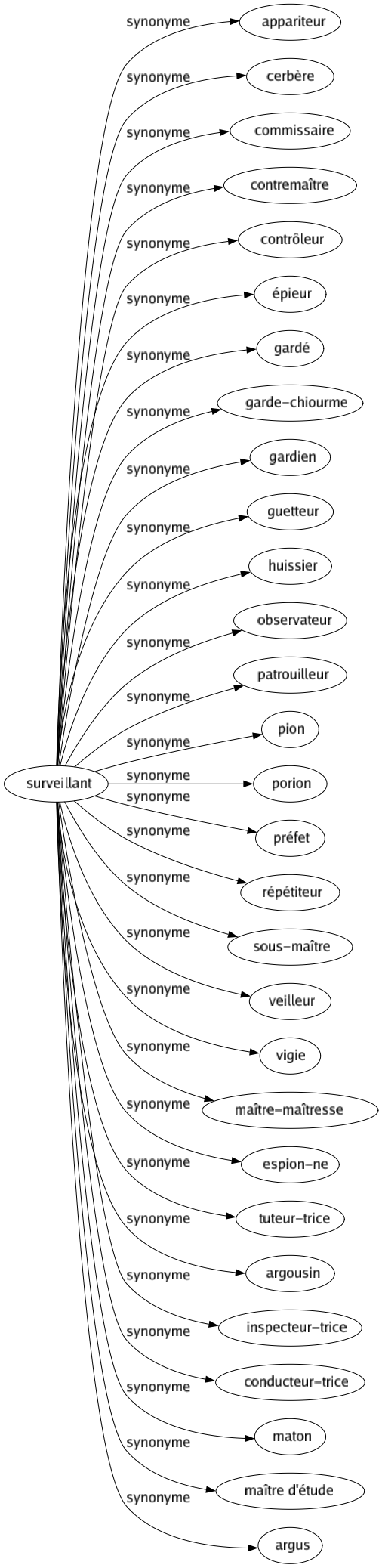 Synonyme de Surveillant : Appariteur Cerbère Commissaire Contremaître Contrôleur Épieur Gardé Garde-chiourme Gardien Guetteur Huissier Observateur Patrouilleur Pion Porion Préfet Répétiteur Sous-maître Veilleur Vigie Maître-maîtresse Espion-ne Tuteur-trice Argousin Inspecteur-trice Conducteur-trice Maton Maître d'étude Argus 