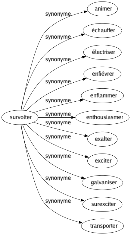 Synonyme de Survolter : Animer Échauffer Électriser Enfiévrer Enflammer Enthousiasmer Exalter Exciter Galvaniser Surexciter Transporter 