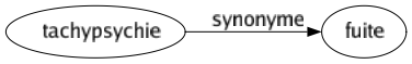Synonyme de Tachypsychie : Fuite 