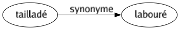 Synonyme de Tailladé : Labouré 