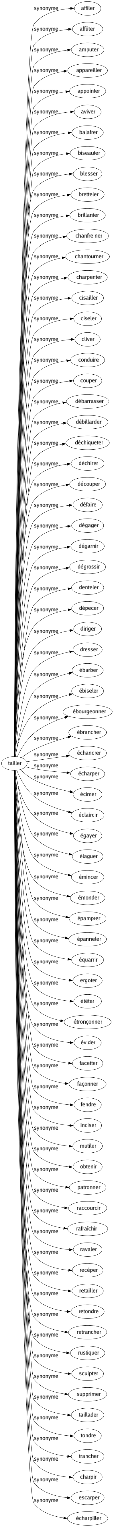 Synonyme de Tailler : Affiler Affûter Amputer Appareiller Appointer Aviver Balafrer Biseauter Blesser Bretteler Brillanter Chanfreiner Chantourner Charpenter Cisailler Ciseler Cliver Conduire Couper Débarrasser Débillarder Déchiqueter Déchirer Découper Défaire Dégager Dégarnir Dégrossir Denteler Dépecer Diriger Dresser Ébarber Ébiseler Ébourgeonner Ébrancher Échancrer Écharper Écimer Éclaircir Égayer Élaguer Émincer Émonder Épamprer Épanneler Équarrir Ergoter Étêter Étronçonner Évider Facetter Façonner Fendre Inciser Mutiler Obtenir Patronner Raccourcir Rafraîchir Ravaler Recéper Retailler Retondre Retrancher Rustiquer Sculpter Supprimer Taillader Tondre Trancher Charpir Escarper Écharpiller 