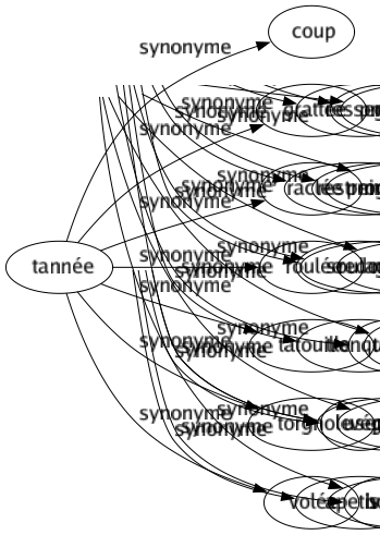 Synonyme de Tannée : Coup Grattée Raclée Roulée Tatouille Torgnole Volée 