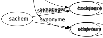 Synonyme de Tapage : Barouf Bastringue Bazar Bordel Boucan Bousin Brouhaha Bruît Cacophonie Carillon Chahut Chambard Charivari Désordre Éclat Esclandre Foin Fracas Hourvari Pet Pétard Potin Raffut Ramdam Roulement Rumeur Sabbat Scandale Sérénade Tam-tam Tapageur Tintamarre Tohu-bohu Train Tumulte Turbulence Vacarme Cri Barnum Bacchanal Boulevari Chabanais Bousingot Schproum 