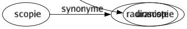 Synonyme de Tapette : Batte Clapet Langue Lopette Pédalé Pédé Pédéraste Sodomite Tante Tapé Travelo Gonzesse Homosexuel Travesti Lope Pédoque Tantouse Uraniste 