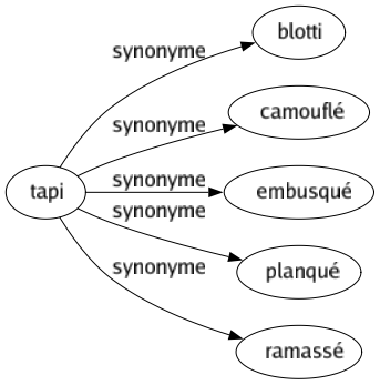 Synonyme de Tapi : Blotti Camouflé Embusqué Planqué Ramassé 
