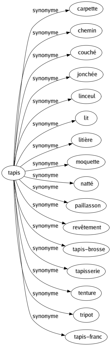 Synonyme de Tapis : Carpette Chemin Couché Jonchée Linceul Lit Litière Moquette Natté Paillasson Revêtement Tapis-brosse Tapisserie Tenture Tripot Tapis-franc 