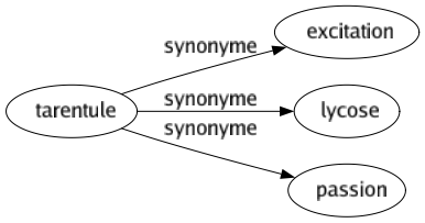 Synonyme de Tarentule : Excitation Lycose Passion 