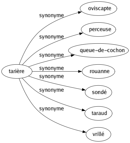 Synonyme de Tarière : Oviscapte Perceuse Queue-de-cochon Rouanne Sondé Taraud Vrillé 
