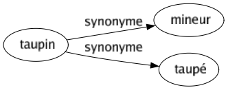 Synonyme de Taupin : Mineur Taupé 