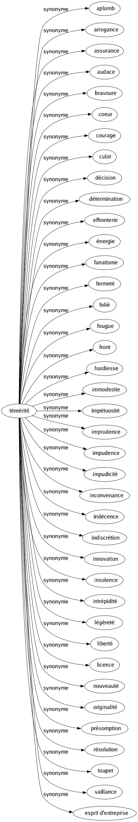 Synonyme de Témérité : Aplomb Arrogance Assurance Audace Bravoure Coeur Courage Culot Décision Détermination Effronterie Énergie Fanatisme Fermeté Folié Fougue Front Hardiesse Immodestie Impétuosité Imprudence Impudence Impudicité Inconvenance Indécence Indiscrétion Innovation Insolence Intrépidité Légèreté Liberté Licence Nouveauté Originalité Présomption Résolution Toupet Vaillance Esprit d'entreprise 