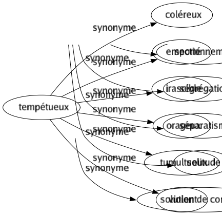 Synonyme de Tempétueux : Coléreux Emporté Irascible Orageux Tumultueux Violent 