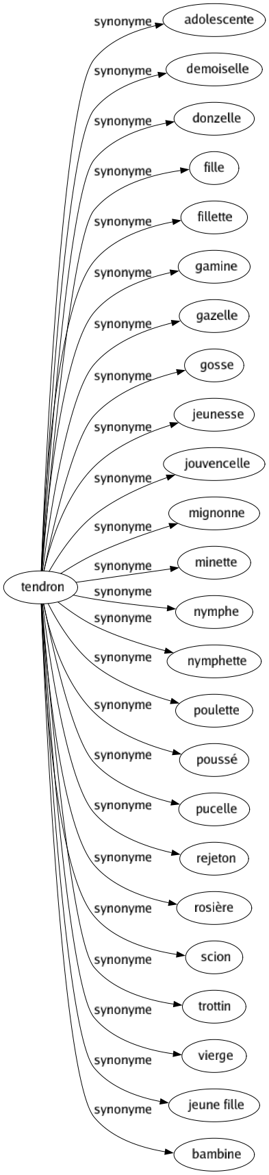 Synonyme de Tendron : Adolescente Demoiselle Donzelle Fille Fillette Gamine Gazelle Gosse Jeunesse Jouvencelle Mignonne Minette Nymphe Nymphette Poulette Poussé Pucelle Rejeton Rosière Scion Trottin Vierge Jeune fille Bambine 