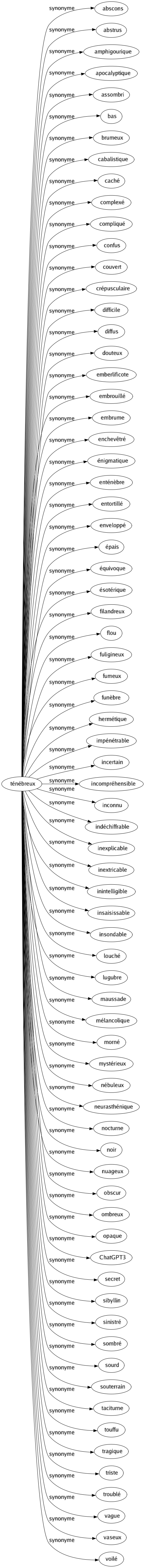 Synonyme de Ténébreux : Abscons Abstrus Amphigourique Apocalyptique Assombri Bas Brumeux Cabalistique Caché Complexé Compliqué Confus Couvert Crépusculaire Difficile Diffus Douteux Emberlificote Embrouillé Embrume Enchevêtré Énigmatique Enténèbre Entortillé Enveloppé Épais Équivoque Ésotérique Filandreux Flou Fuligineux Fumeux Funèbre Hermétique Impénétrable Incertain Incompréhensible Inconnu Indéchiffrable Inexplicable Inextricable Inintelligible Insaisissable Insondable Louché Lugubre Maussade Mélancolique Morné Mystérieux Nébuleux Neurasthénique Nocturne Noir Nuageux Obscur Ombreux Opaque Chatgpt3 Secret Sibyllin Sinistré Sombré Sourd Souterrain Taciturne Touffu Tragique Triste Troublé Vague Vaseux Voilé 