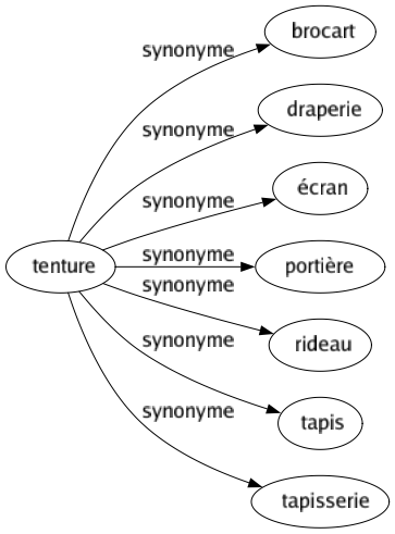 Synonyme de Tenture : Brocart Draperie Écran Portière Rideau Tapis Tapisserie 