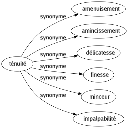 Synonyme de Ténuité : Amenuisement Amincissement Délicatesse Finesse Minceur Impalpabilité 