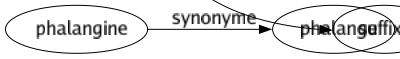 Synonyme de Terminaison : Accomplissement Achèvement Apothéose Assonance Bout Cessation Chuté Clausule Coda Compromis Conclusion Consommation Consonance Couronnement Dénouement Désinence Extrémité Fin Finale Flexion Issue Queue Règlement Résultât Rimé Solution Suffixé 