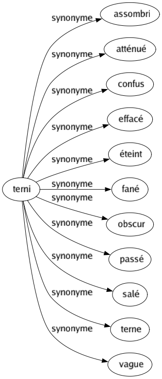 Synonyme de Terni : Assombri Atténué Confus Effacé Éteint Fané Obscur Passé Salé Terne Vague 