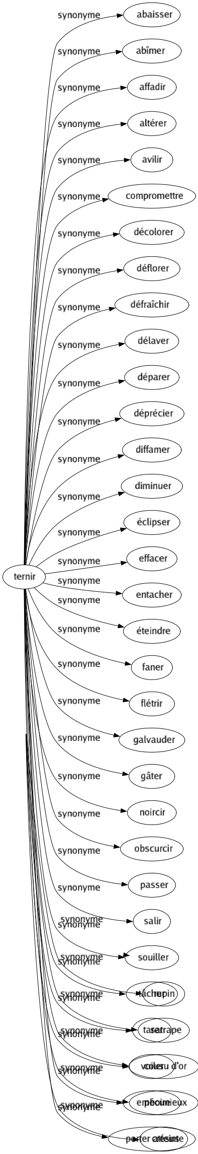 Synonyme de Ternir : Abaisser Abîmer Affadir Altérer Avilir Compromettre Décolorer Déflorer Défraîchir Délaver Déparer Déprécier Diffamer Diminuer Éclipser Effacer Entacher Éteindre Faner Flétrir Galvauder Gâter Noircir Obscurcir Passer Salir Souiller Tâcher Tarer Voiler Emboire Porter atteinte 