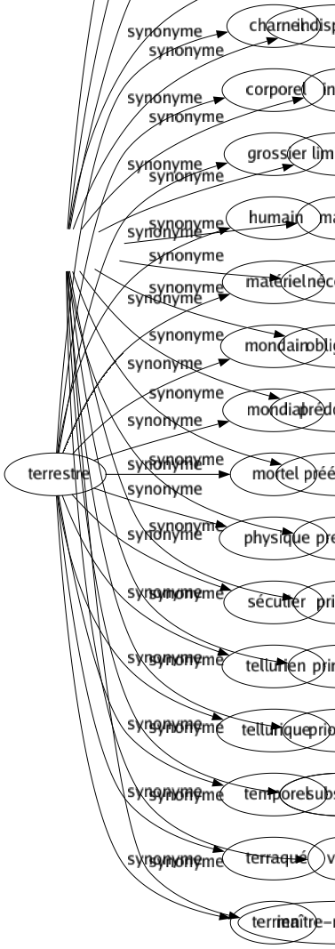 Synonyme de Terrestre : Charnel Corporel Grossier Humain Matériel Mondain Mondial Mortel Physique Séculier Tellurien Tellurique Temporel Terraqué Terrien 