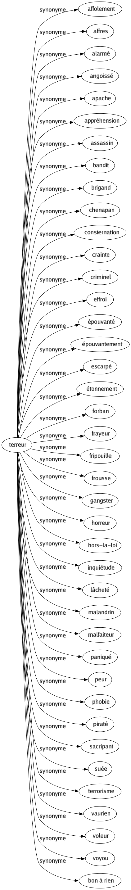 Synonyme de Terreur : Affolement Affres Alarmé Angoissé Apache Appréhension Assassin Bandit Brigand Chenapan Consternation Crainte Criminel Effroi Épouvanté Épouvantement Escarpé Étonnement Forban Frayeur Fripouille Frousse Gangster Horreur Hors-la-loi Inquiétude Lâcheté Malandrin Malfaiteur Paniqué Peur Phobie Piraté Sacripant Suée Terrorisme Vaurien Voleur Voyou Bon à rien 
