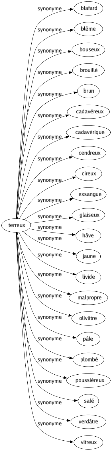 Synonyme de Terreux : Blafard Blême Bouseux Brouillé Brun Cadavéreux Cadavérique Cendreux Cireux Exsangue Glaiseux Hâve Jaune Livide Malpropre Olivâtre Pâle Plombé Poussiéreux Salé Verdâtre Vitreux 