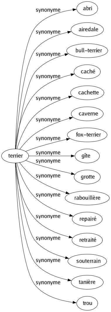 Synonyme de Terrier : Abri Airedale Bull-terrier Caché Cachette Caverne Fox-terrier Gîte Grotte Rabouillère Repairé Retraité Souterrain Tanière Trou 