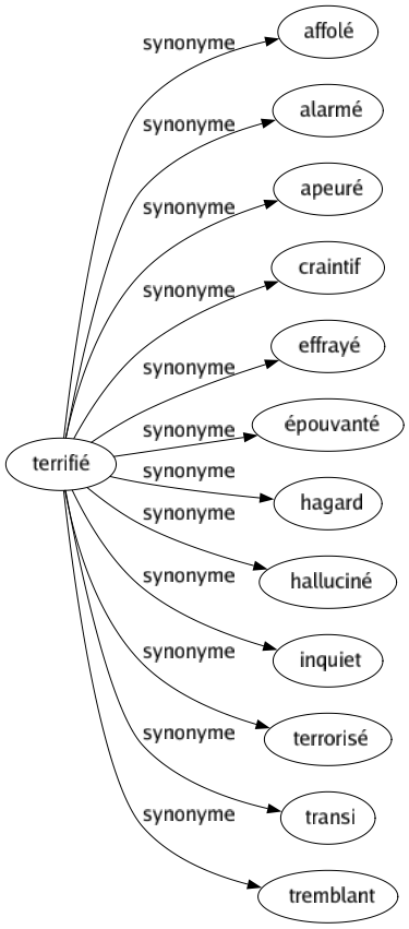 Synonyme de Terrifié : Affolé Alarmé Apeuré Craintif Effrayé Épouvanté Hagard Halluciné Inquiet Terrorisé Transi Tremblant 