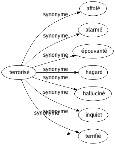 Synonyme de Terrorisé : Affolé Alarmé Épouvanté Hagard Halluciné Inquiet Terrifié 