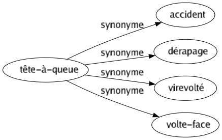 Synonyme de Tête-à-queue : Accident Dérapage Virevolté Volte-face 