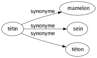 Synonyme de Tétin : Mamelon Sein Téton 