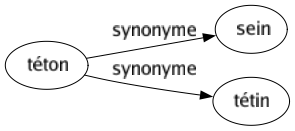 Synonyme de Téton : Sein Tétin 