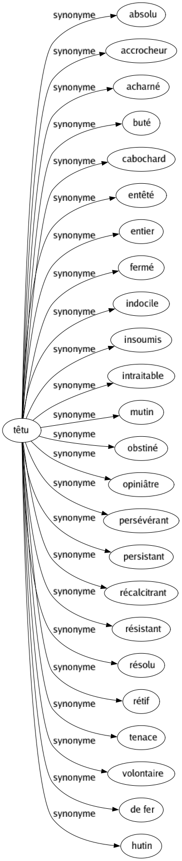 Synonyme de Têtu : Absolu Accrocheur Acharné Buté Cabochard Entêté Entier Fermé Indocile Insoumis Intraitable Mutin Obstiné Opiniâtre Persévérant Persistant Récalcitrant Résistant Résolu Rétif Tenace Volontaire De fer Hutin 
