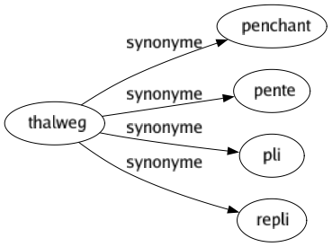 Synonyme de Thalweg : Penchant Pente Pli Repli 