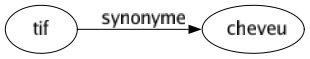 Synonyme de Tif : Cheveu 