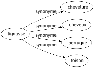 Synonyme de Tignasse : Chevelure Cheveux Perruque Toison 