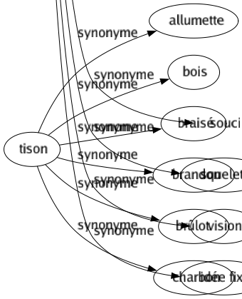 Synonyme de Tison : Allumette Bois Braisé Brandon Brûlot Charbon 