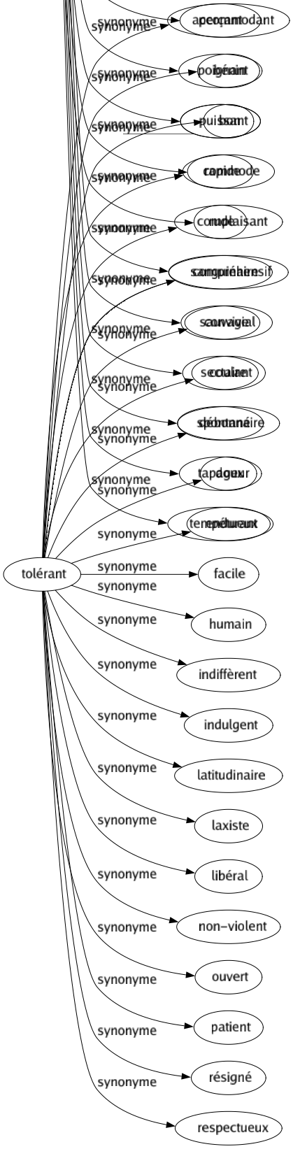 Synonyme de Tolérant : Accommodant Bénin Bon Commode Complaisant Compréhensif Convivial Coulant Débonnaire Doux Endurant Facile Humain Indiffèrent Indulgent Latitudinaire Laxiste Libéral Non-violent Ouvert Patient Résigné Respectueux 