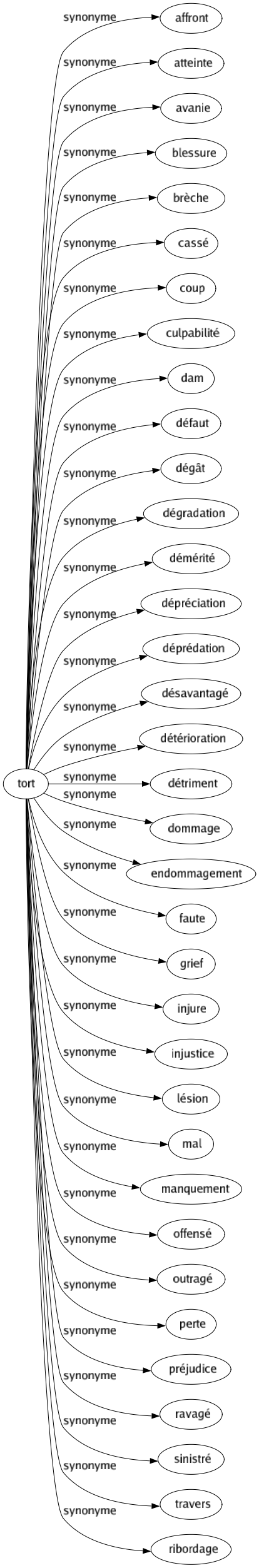 Synonyme de Tort : Affront Atteinte Avanie Blessure Brèche Cassé Coup Culpabilité Dam Défaut Dégât Dégradation Démérité Dépréciation Déprédation Désavantagé Détérioration Détriment Dommage Endommagement Faute Grief Injure Injustice Lésion Mal Manquement Offensé Outragé Perte Préjudice Ravagé Sinistré Travers Ribordage 