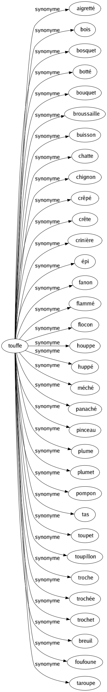 Synonyme de Touffe : Aigretté Bois Bosquet Botté Bouquet Broussaille Buisson Chatte Chignon Crêpé Crête Crinière Épi Fanon Flammé Flocon Houppe Huppé Méché Panaché Pinceau Plume Plumet Pompon Tas Toupet Toupillon Troche Trochée Trochet Breuil Foufoune Taroupe 