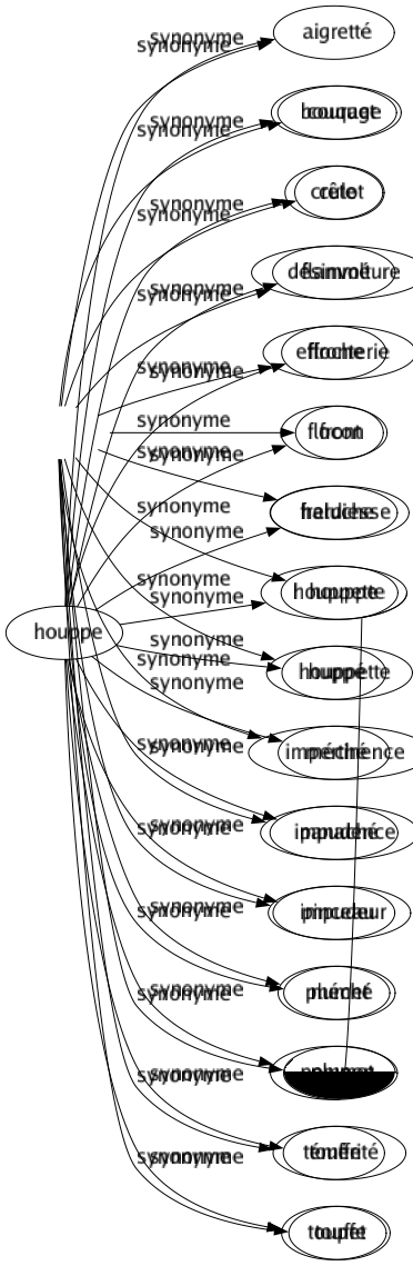 Synonyme de Toupet : Aplomb Assurance Audace Bouquet Coffré Confiance Courage Culot Désinvolture Effronterie Front Hardiesse Houppe Houppette Impertinence Impudence Impudeur Méché Plumet Témérité Touffe 