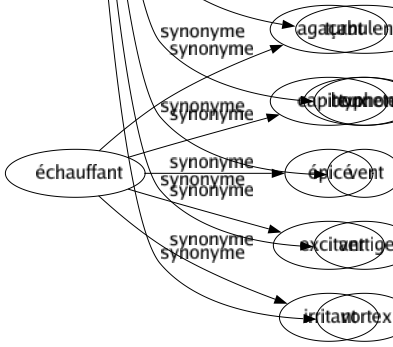 Synonyme de Tourbillon : Bourrasque Bousculade Cerclé Cyclone Enivrement Hourvari Impétuosité Maelström Mouvement Multitude Ouragan Pétillement Rafale Remous Remue-ménage Tempêté Tohu-bohu Tornade Tourbillonnement Tourmenté Tournoiement Trombe Tumulte Turbulence Typhon Vent Vertige Vortex 