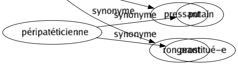 Synonyme de Tourmentant : Douloureux Obsédant Pénible Pressant Rongeant 