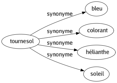 Synonyme de Tournesol : Bleu Colorant Hélianthe Soleil 