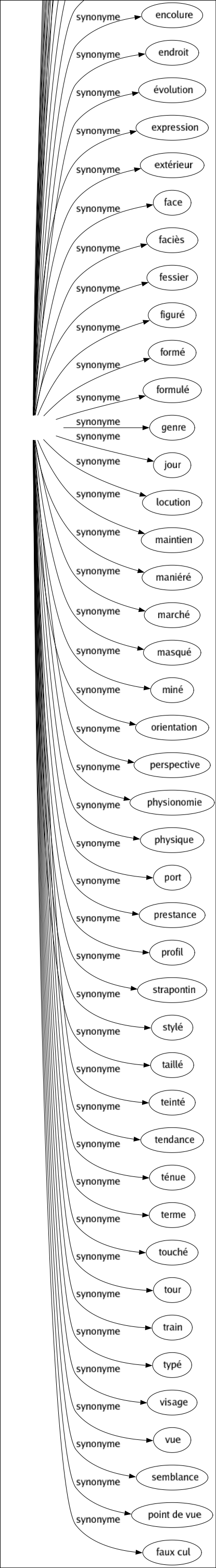 Synonyme de Tournure : Air Alluré Angle Apparence Aspect Cachet Caractère Chic Classé Configuration Construction Contenance Côté Couleur Cours Dehors Démarché Direction Disposition Encolure Endroit Évolution Expression Extérieur Face Faciès Fessier Figuré Formé Formulé Genre Jour Locution Maintien Maniéré Marché Masqué Miné Orientation Perspective Physionomie Physique Port Prestance Profil Strapontin Stylé Taillé Teinté Tendance Ténue Terme Touché Tour Train Typé Visage Vue Semblance Point de vue Faux cul 