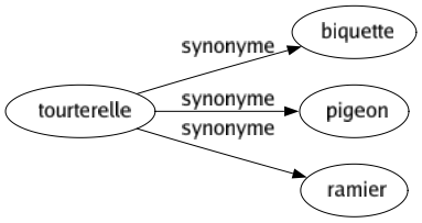 Synonyme de Tourterelle : Biquette Pigeon Ramier 