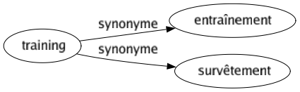 Synonyme de Training : Entraînement Survêtement 