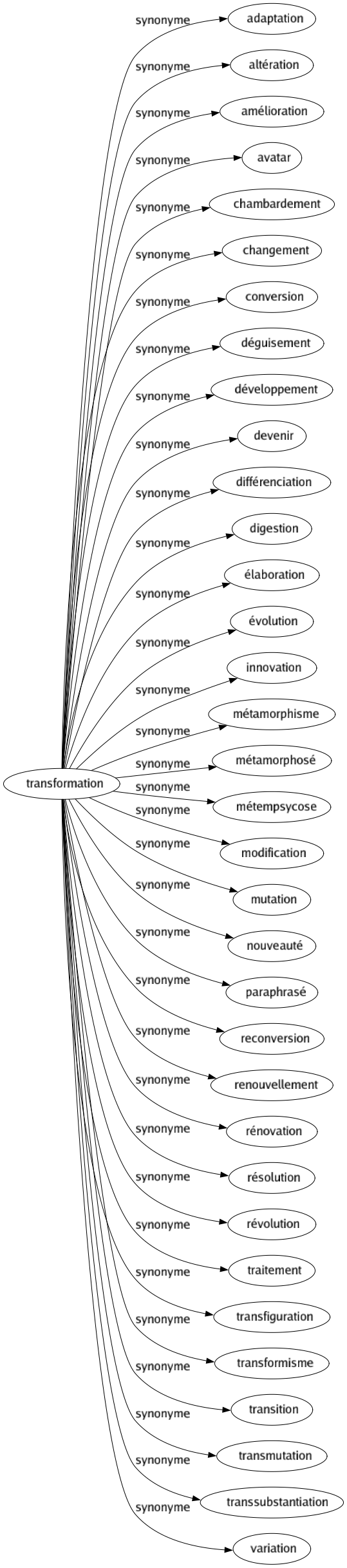 Synonyme de Transformation : Adaptation Altération Amélioration Avatar Chambardement Changement Conversion Déguisement Développement Devenir Différenciation Digestion Élaboration Évolution Innovation Métamorphisme Métamorphosé Métempsycose Modification Mutation Nouveauté Paraphrasé Reconversion Renouvellement Rénovation Résolution Révolution Traitement Transfiguration Transformisme Transition Transmutation Transsubstantiation Variation 