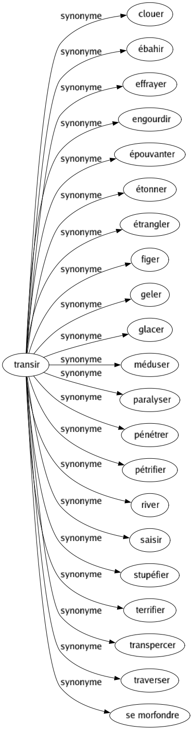 Synonyme de Transir : Clouer Ébahir Effrayer Engourdir Épouvanter Étonner Étrangler Figer Geler Glacer Méduser Paralyser Pénétrer Pétrifier River Saisir Stupéfier Terrifier Transpercer Traverser Se morfondre 