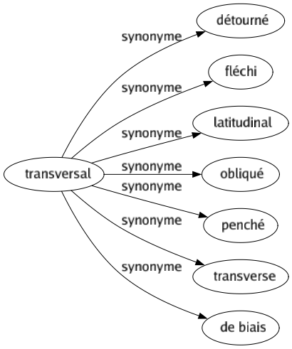 Synonyme de Transversal : Détourné Fléchi Latitudinal Obliqué Penché Transverse De biais 