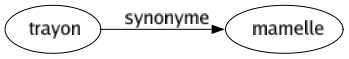 Synonyme de Trayon : Mamelle 
